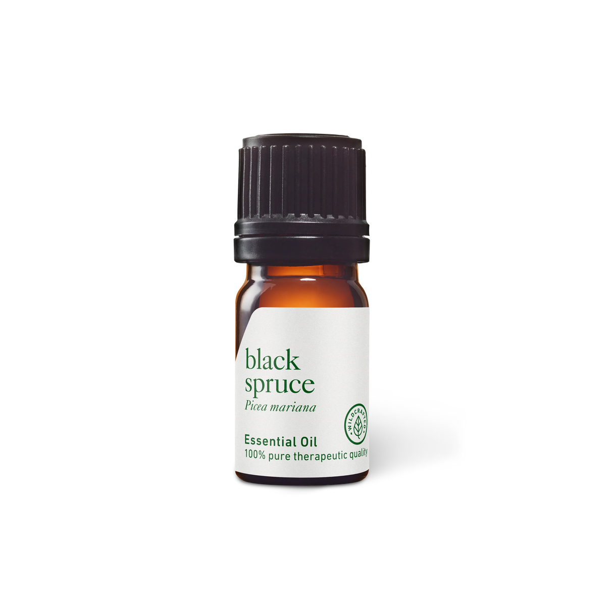 Black Spruce Essential Oil