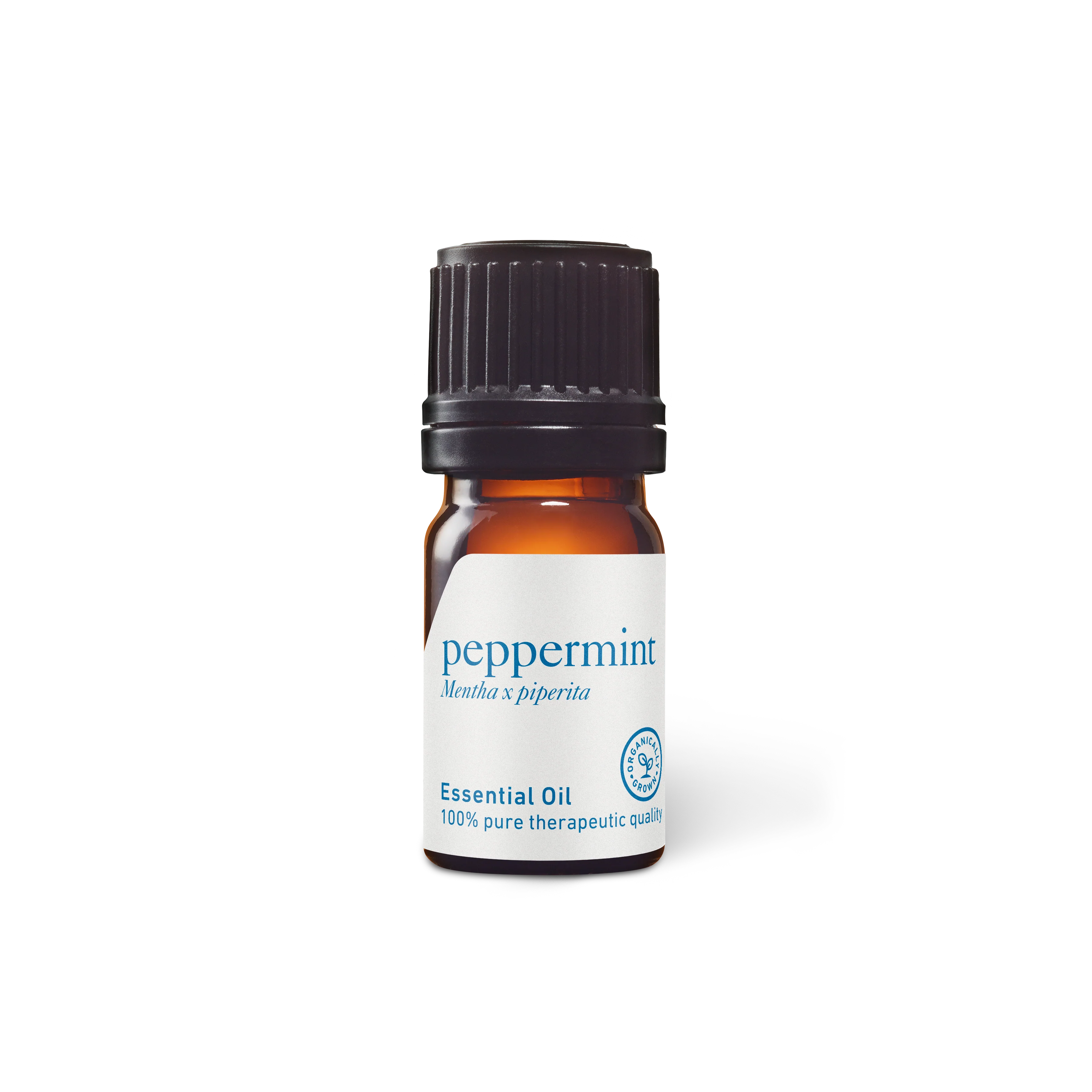 Peppermint Essential Oil